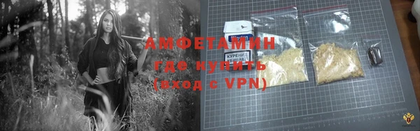 стаф Семилуки