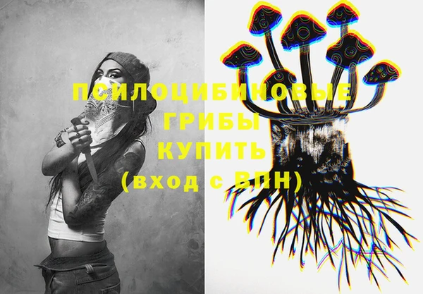 индика Богданович