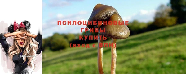 тгк Богородск