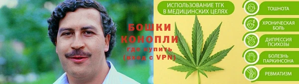тгк Богородск