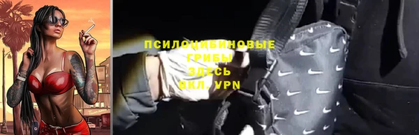 индика Богданович