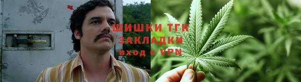индика Богданович