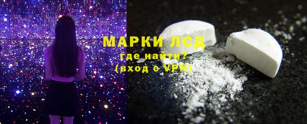 индика Богданович