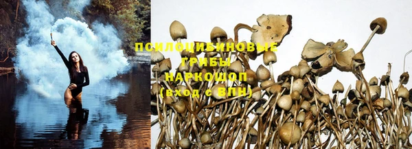 твердый Богородицк