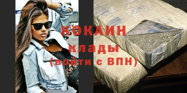 индика Богданович