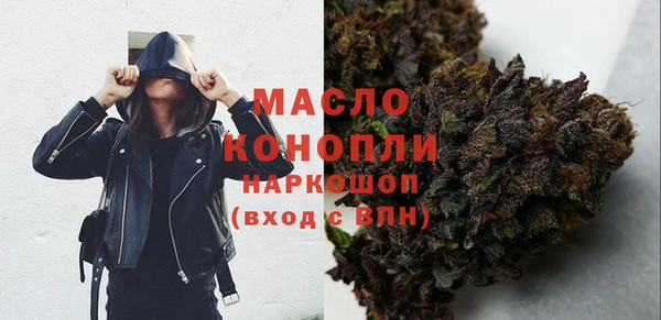 индика Богданович