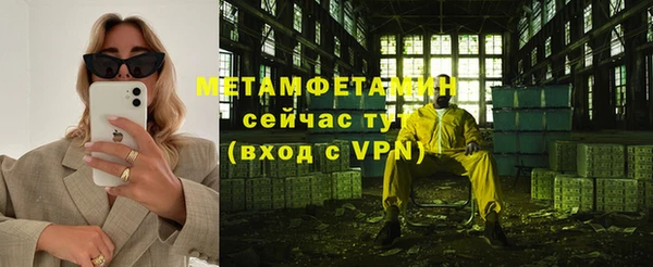 индика Богданович