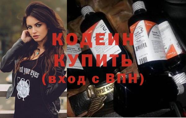 индика Богданович