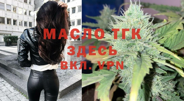 индика Богданович
