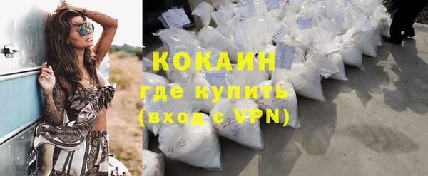 индика Богданович