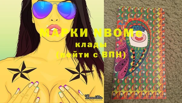 индика Богданович