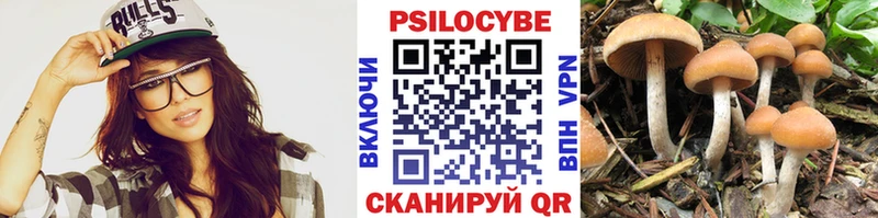 Псилоцибиновые грибы Cubensis Донской